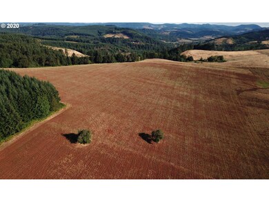 19350 SW Cherry Hill Rd, Sheridan, OR 97378 - photo 5