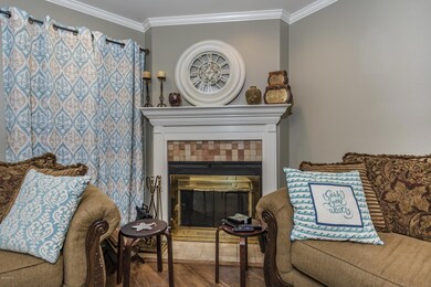 Living Room 3 - Fireplace