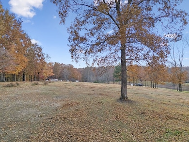 3917 Mobley's Cut Rd, Franklin, TN 37064 - photo 3