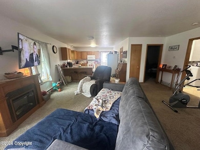 20250306225028946633000000-o