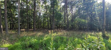 0 Roundtop Ln unit WVMO2000150, Berkeley Springs, WV 25411 - photo 7