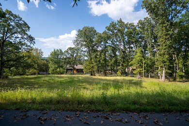 Lots 13-15 Silverbell Dr, Ruth B Rural Township, MO 65686 - photo 3