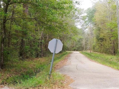 Beautiful Idlewild Pines Road