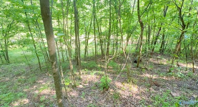 140 Ben Johnson Rd, Pulaski, TN 38478 - photo 6