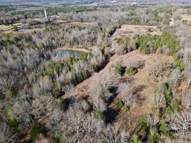 000 Mount Pisgah Rd, Springfield, AR 72157 - photo 6