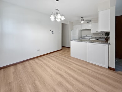 2025 Maple Rd unit 1E, Homewood, IL 60430 - photo 4