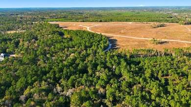 525 Bill Hales Rd, Willis, TX 77378 - photo 5