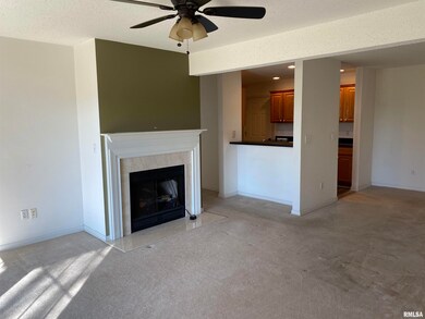 4537 N Thornhill Dr unit 101, Peoria, IL 61615 - photo 7