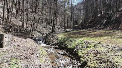 3192 Pumpkintown Rd, Sylva, NC 28779 - photo 4