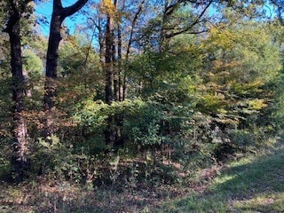 TBD Lot 56 Dogwood Dr, Trinidad, TX 75163 - photo 2