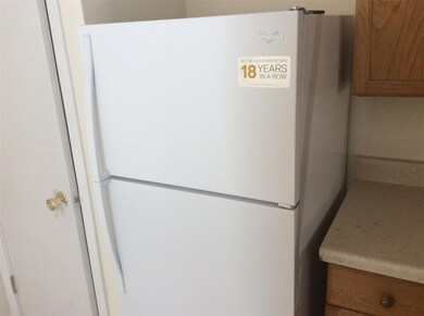 Kitchen view of freestanding refrigerator, brown 