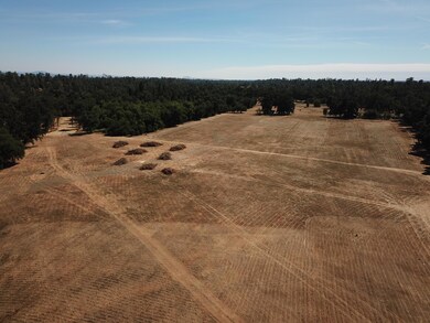 DJI_0005