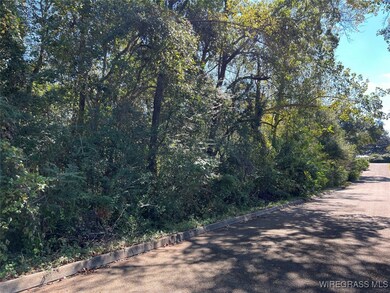 Lot 11 1/2 Lot 12 Berman St, Andalusia, AL 36421 - photo 4