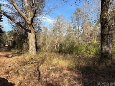 0 Hempstead 148 Rd, Hope, AR 71801 - photo 5