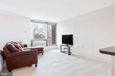 Potomac Place Tower unit S303, Washington, DC 20024 - photo 6