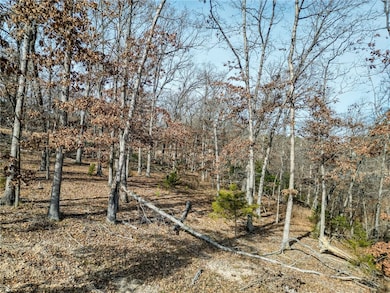 Lot 4 Winterberry Ln, Rogers, AR 72756 - photo 6