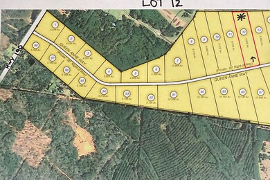 Lot 12 Queen Anne Way 9.906 Acres