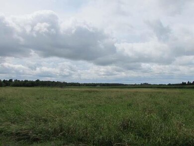 N5568 Rosedale Rd, Deerbrook, WI 54424 - photo 5