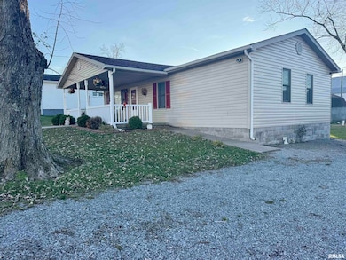 216 S Hubbard Ave, Goreville, IL 62939 - photo 5