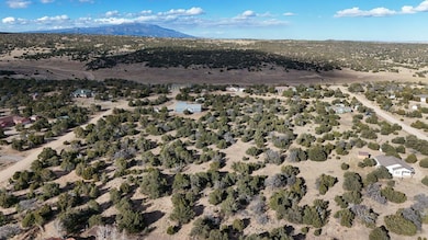 0 Lot 147 Navajo Ranch Estates, Walsenburg, CO 81089 - photo 7