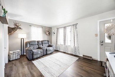 315 N Maple Ave, Roxana, IL 62084 - photo 4