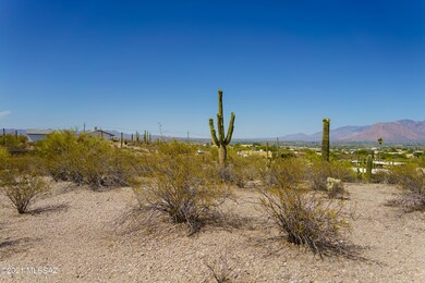 DSC03365-HDR