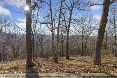 64 Northwoods Dr, Kimberling City, MO 65686 - photo 5