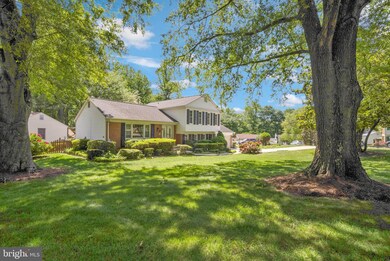 8001 Pyracantha Ct, Springfield, VA 22153 - photo 3