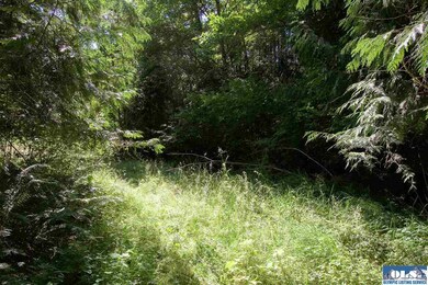 9999 N Eldridge, Sequim, WA 98382 - photo 7