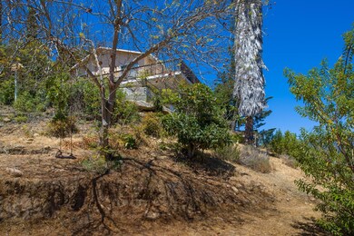 View from below
