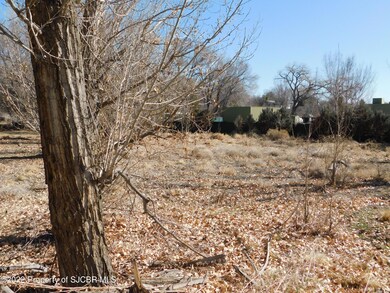 NYA Rowe Ave, Farmington, NM 87402 - photo 5