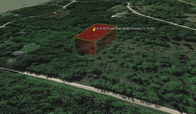 Lot 18 SE Private Road 3048p, Corsicana, TX 75109 - photo 4