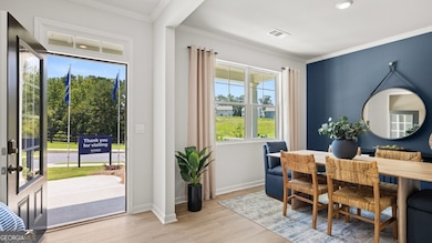 91 Biltmore Place, Braselton, GA 30517 - photo 3