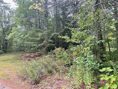 40, 39-1 Gebung Rd, Lyman, ME 04002 - photo 5