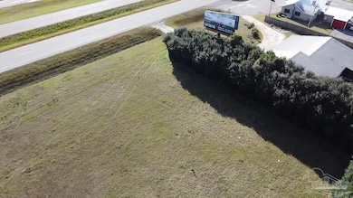 3000 Block Alabama 21, Atmore, AL 36502 - photo 3