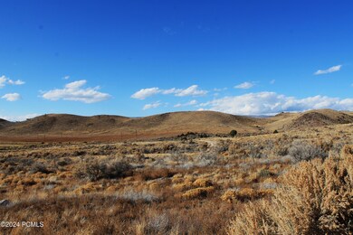 IMG_0142