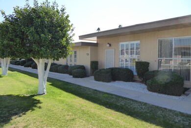 Lovely green courtyard