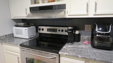 5 Washington St unit 9, Goffstown, NH 03045 - photo 6