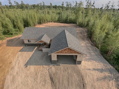 10494 W Glacier Peak Dr, Wasilla, AK 99654 - photo 4