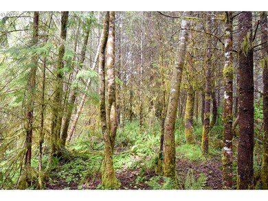 0 Slide Creek Rd unit 20124249, Longview, WA 98632 - photo 7