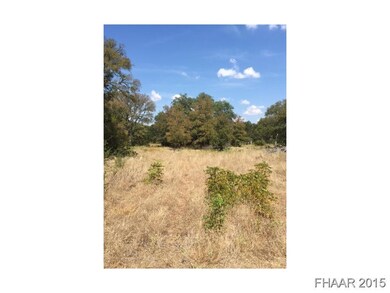 158 Legend Oaks, Moody, TX 76557 - photo 3