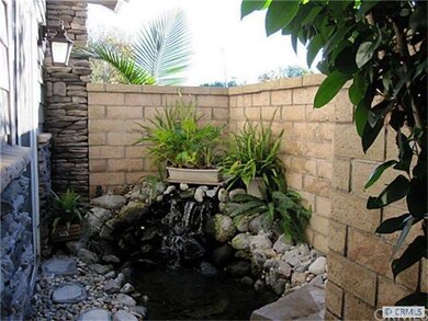 Koi Pond