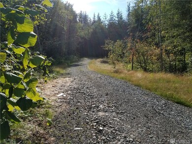 0 Sommerville Rd, Chehalis, WA 98532 - photo 3