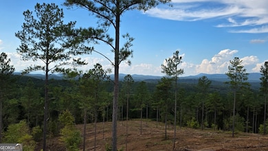 75 Elkton Ct, Ellijay, GA 30540 - photo 6