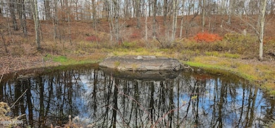 93 Delaware Dr, Damascus Township, PA 18415 - photo 3