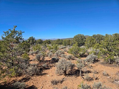 TBD Hondo Seco Rd, El Prado, NM 87529 - photo 4