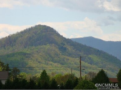 44 Frank Lawson Ln, Leicester, NC 28748 - photo 5