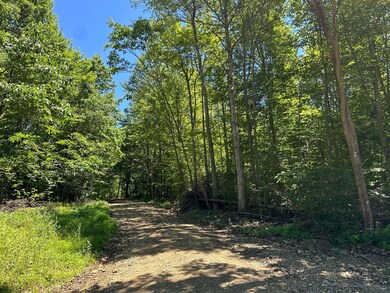 1253 Shawna Rd, Cherry Tree, PA 15724 - photo 6