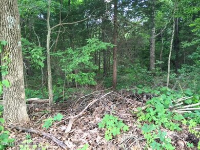 Lot 1 Brookdale Rd, Mount Washington, KY 40047 - photo 2