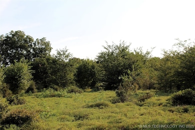 0 Highway 70 E, Bennington, OK 74723 - photo 5